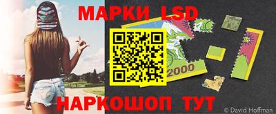 тгк Кингисепп