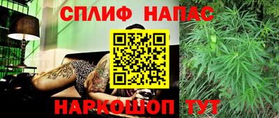 тгк Кингисепп