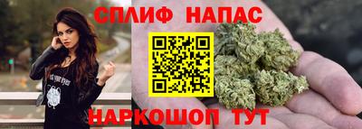 сатива Кимры