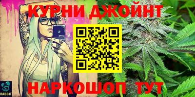 сатива Кимры
