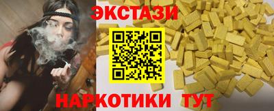 тгк Кингисепп