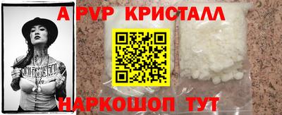 тгк Кингисепп