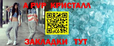 тгк Кингисепп