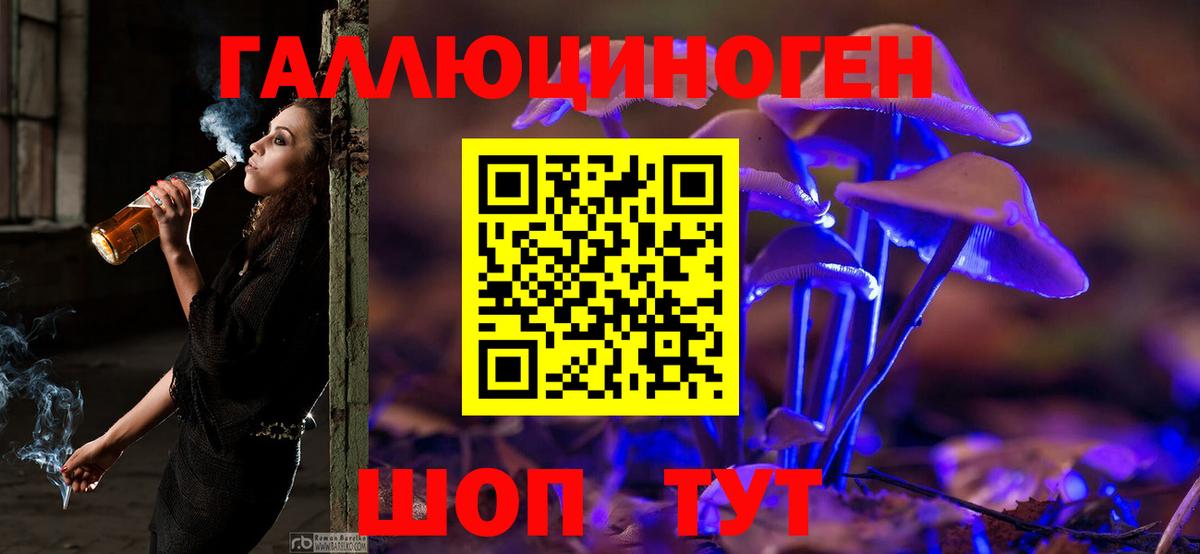 Комсомольск-на-Амуре  Псилоцибиновые грибы GOLDEN TEACHER  где найти наркотики  Псилоцибиновые грибы Psilocybe  Вход с VPN 
